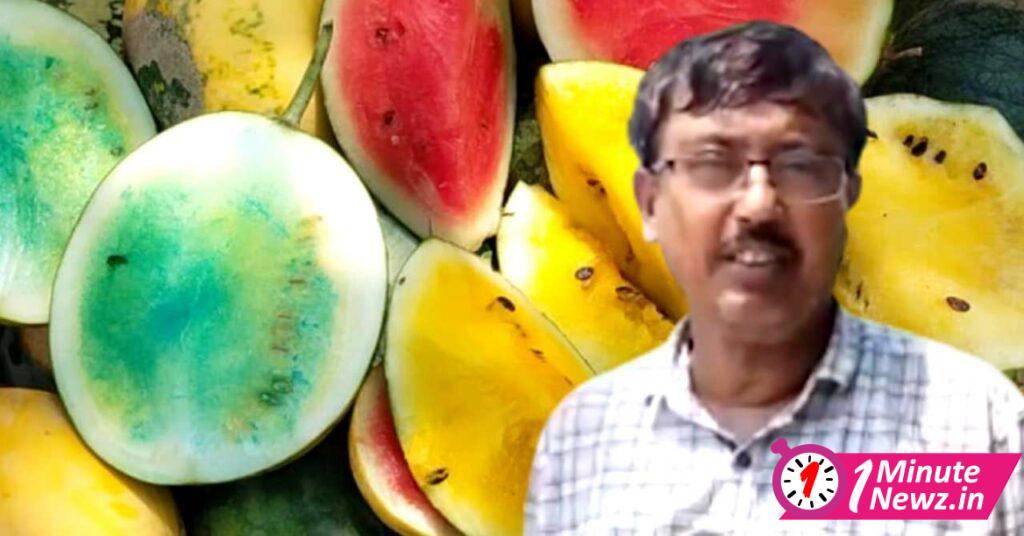 burdwan farmer made colorful watermelon which tastes like pineapple and strawberry
