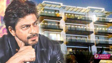 shahrukh khan openup about his upcoming film pathan