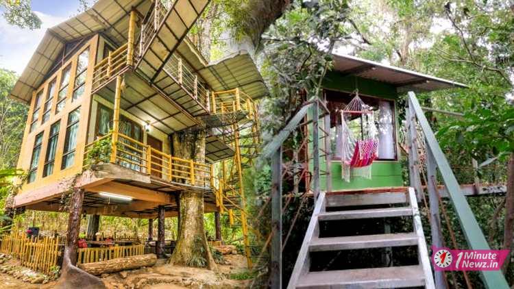 a eco friendly treehouse around 400 year's old in munnar