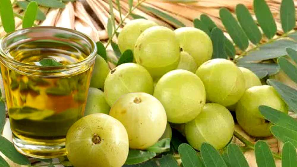amla for early white hair problem