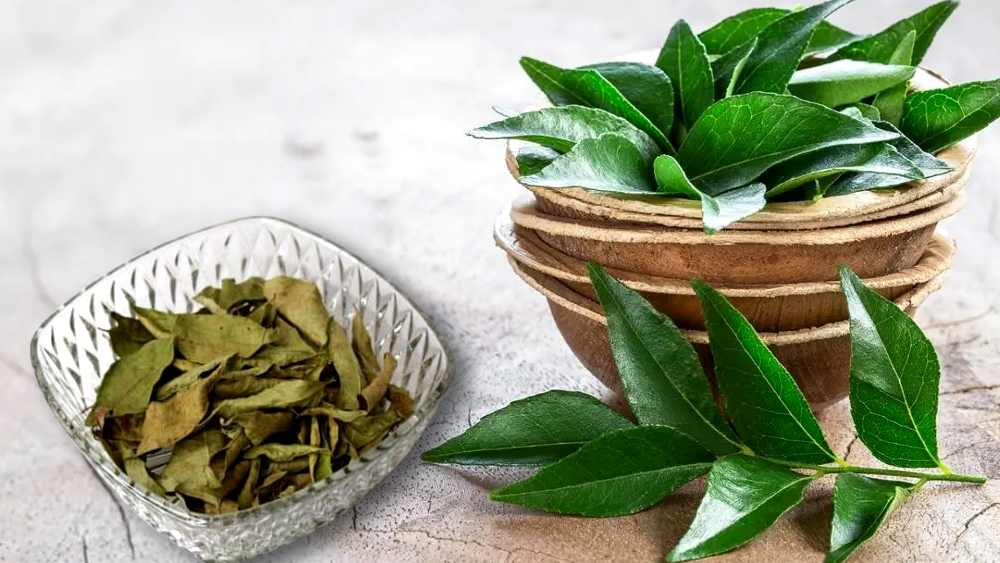 curry leaf for early white hair problem