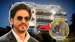 stray dog takes shelter at shah rukh khan house mannat in mumbai rain