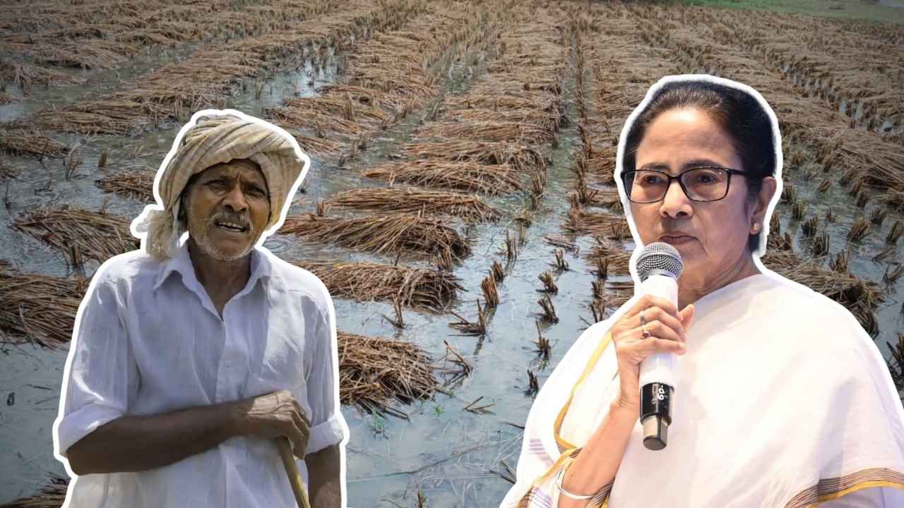 bangla shasya bima 2025