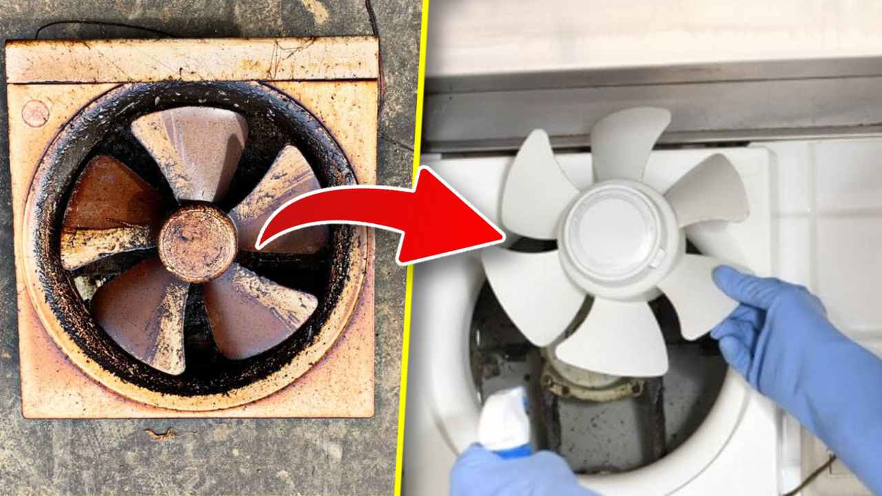 kitchen exhaust fan cleaning