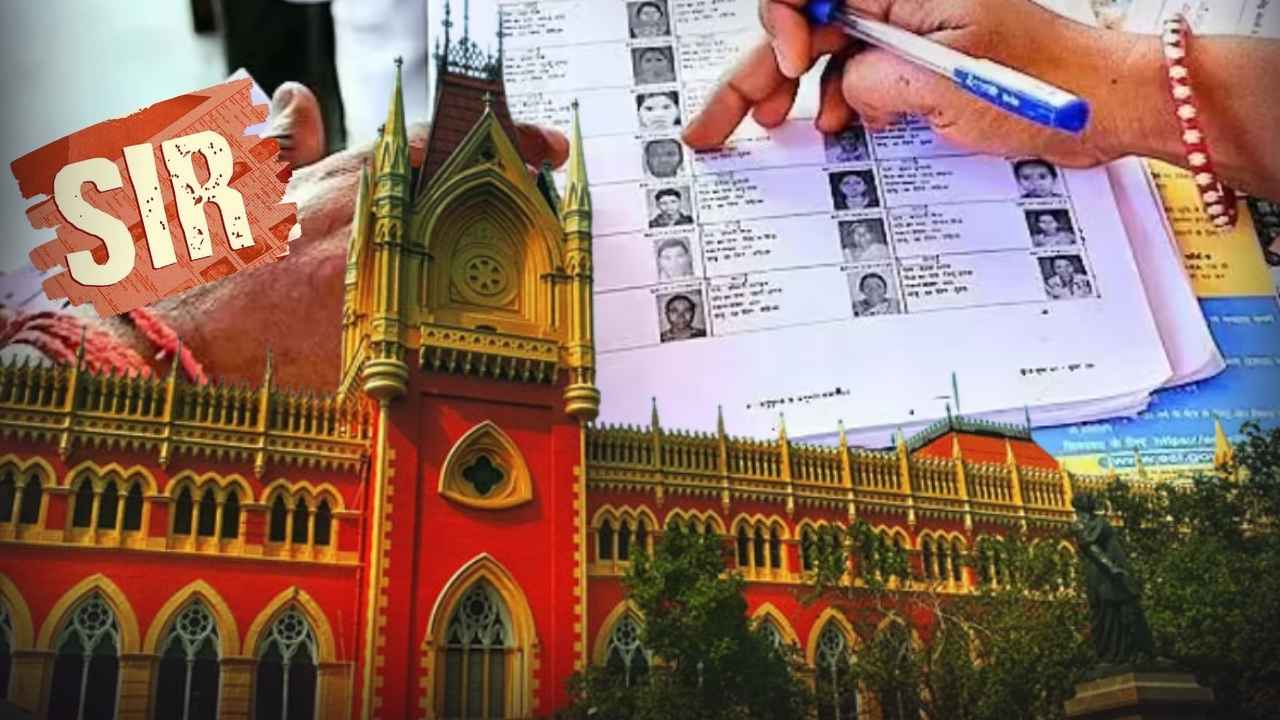 SIR tribunal application process for voter list corrections